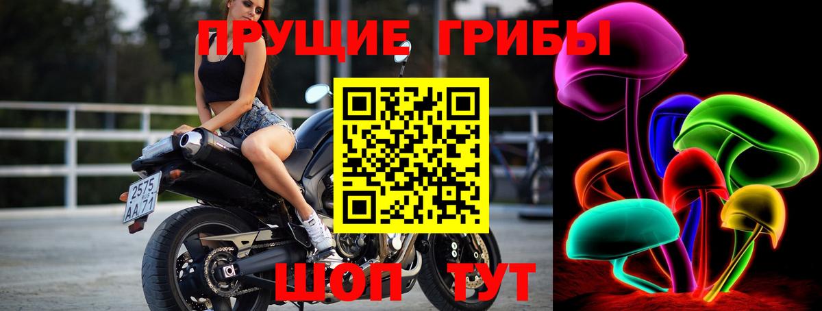 сколько стоит  Псилоцибиновые грибы MAGIC MUSHROOMS  Вход с VPN  Псилоцибиновые грибы GOLDEN TEACHER  Нурлат 
